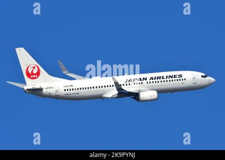 Tokio, Japan – 05. März 2022:das Passagierflugzeug Boeing B737-800 (JA348J) von Japan Airlines (JAL) nimmt am internationalen Flughafen Tokio ab. Stockfoto