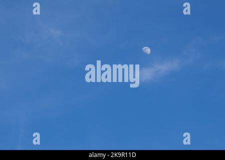 Halbmond im ersten Quartal am blauen, klaren Himmel mit weichen, feinen weißen Wolken am Tag Stockfoto