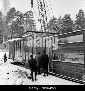 Ehefrau Sport Oskarshamn - Uttran Stockfoto