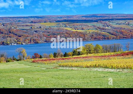 Seneca Lake in den Finger Lakes, mit Blättern an Weinreben, die in leuchtende Herbstfarben wechseln Stockfoto