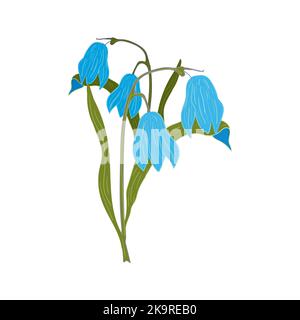 Illustration von blauen Frühlingsblumen auf weißem Hintergrund. Stock Vektor