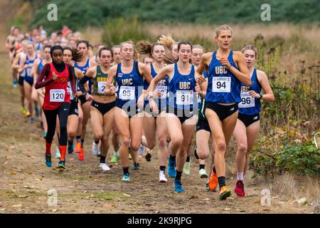 Abbotsford, Kanada. 29. Oktober 2022. UBC Thunderbirds führen das Feld beim Damenrennen bei den Canada West Cross Country Championships 2022 an. Quelle: Zhengmu Wang/Alamy Live News Stockfoto