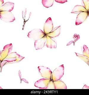 Rosa Plumeria Blumen auch als Frangipani bekannt. Filigranes, abstraktes Aquarell-Nahtloses Muster. Für Hintergründe, Geschenkpapier, Druckdesigns Stockfoto