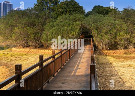 Holzbrücke über kleinen Fluss im Stadtpark Stockfoto