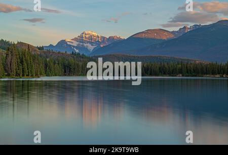 Lake Beauvert und Mount Edith Cavell bei Sonnenuntergang, Jasper National Park, Alberta, Kanada. Stockfoto