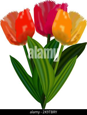 Frühling helle Tulpenblüten auf weißem Hintergrund. Stock Vektor