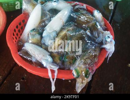 Frisch gefangener Tintenfisch in einem Korb auf einem schwimmenden Fischmarkt und Restaurant auf der Insel Binh Hung, Vietnam Stockfoto