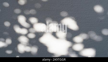 Schattenüberlagerungseffekt für das Foto. Schatten von Baumblättern und tropischen Ästen an einer weißen Wand im Sonnenlicht. Hochwertige Fotos Stockfoto