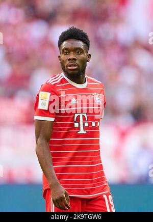 Deutschland. 29. Oktober 2022. Alphonso DAVIES, FCB 19 im Spiel FC BAYERN MÜNCHEN - 1. FSV MAINZ 05 6-2 1.Deutsche Fußballliga am 29. Oktober 2022 in München. Saison 2022/2023, Spieltag 12, 1.Bundesliga, FCB, München, 12.Spieltag © Peter Schatz / Alamy Live News - die DFL-VORSCHRIFTEN VERBIETEN DIE VERWENDUNG VON FOTOGRAFIEN als BILDSEQUENZEN und/oder QUASI-VIDEO - Quelle: Peter Schatz/Alamy Live News Stockfoto