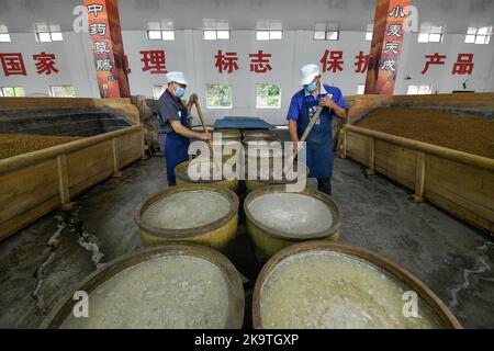 (221030) -- CHISHUI, 30. Oktober 2022 (Xinhua) -- Arbeiter bereiten Rohstoffe für die Essigherstellung in einer Essigfabrik in Chishui, südwestlich von Chinas Provinz Guizhou, am 28. Oktober 2022 vor. Chishui wird für seinen Sonnenessig gefeiert, der einen traditionellen Prozess der Herstellung beibehalten hat. Die Produktionstechniken des Chishui-Essigs, die den Sonnenanbungsprozess kennzeichnen, wurden 2009 als immaterielles Kulturerbe der Provinz Guizhou und 2021 als nationales Kulturerbe aufgeführt. Der Essig ist bekannt für seinen einzigartigen Geschmack auch wegen seiner bewährten Rezept, das einige pflanzliche Medikamente enthalten. Die lokale Regierung p Stockfoto