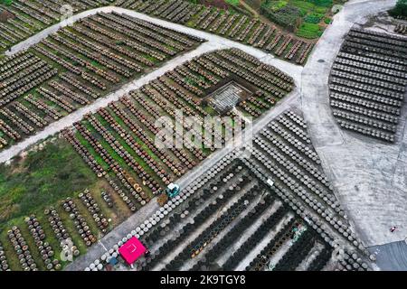 (221030) -- CHISHUI, 30. Oktober 2022 (Xinhua) -- Dieses Luftfoto vom 28. Oktober 2022 zeigt das Sonnenfeld einer Essigfabrik in Chishui, südwestlich der Provinz Guizhou in China. Chishui wird für seinen Sonnenessig gefeiert, der einen traditionellen Prozess der Herstellung beibehalten hat. Die Produktionstechniken des Chishui-Essigs, die den Sonnenanbungsprozess kennzeichnen, wurden 2009 als immaterielles Kulturerbe der Provinz Guizhou und 2021 als nationales Kulturerbe aufgeführt. Der Essig ist bekannt für seinen einzigartigen Geschmack auch wegen seiner bewährten Rezept, das einige pflanzliche Medikamente enthalten. Der lokalen Regierung Stockfoto