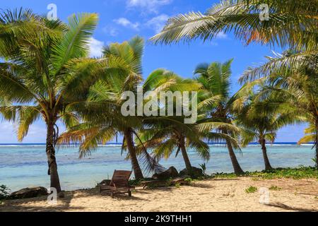 Ein Strand auf Rarotonga auf den Cook-Inseln, mit einer Sonnenliege im Schatten einer Reihe von Kokospalmen Stockfoto