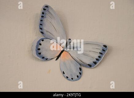 Schmetterlinge in verschiedenen Formen und Größen in einer Ausstellung in Italien ausgestellt. Stockfoto