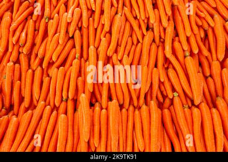 Auf der Markttheke sind orange glänzende, frische Karotten angelegt, die einen attraktiven appetitlichen Look haben Stockfoto