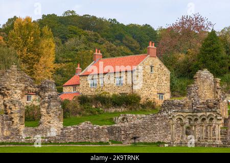 Riveaulx Abbey, North Yorkshire, England, Vereinigtes Königreich Stockfoto