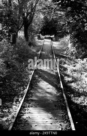 Eine Abendaufnahme eines Zugehungsweges im Pishiobury Park, Sawbridgeworth, die Sonne tief im Himmel, die die Schatten schafft Stockfoto