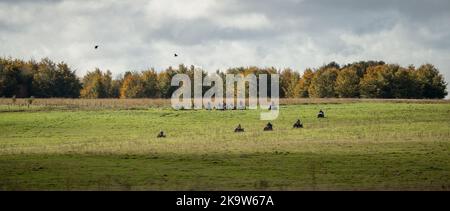 Große Gruppe von Quad-Bikern auf einem Cross-Country-Abenteuer, bewölkten Sommerhimmel Stockfoto