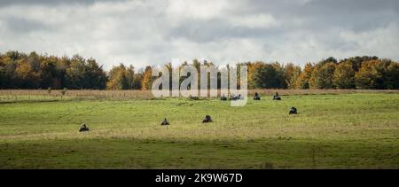 Große Gruppe von Quad-Bikern auf einem Cross-Country-Abenteuer, bewölkten Sommerhimmel Stockfoto