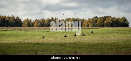 Große Gruppe von Quad-Bikern auf einem Cross-Country-Abenteuer, bewölkten Sommerhimmel Stockfoto