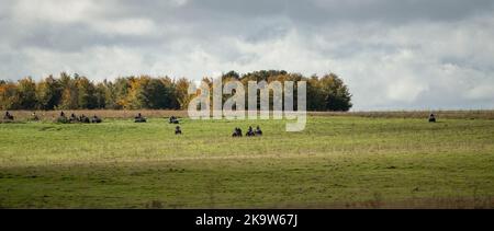 Große Gruppe von Quad-Bikern auf einem Cross-Country-Abenteuer, bewölkten Sommerhimmel Stockfoto