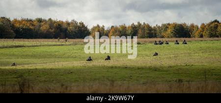 Große Gruppe von Quad-Bikern auf einem Cross-Country-Abenteuer, bewölkten Sommerhimmel Stockfoto