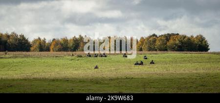 Große Gruppe von Quad-Bikern auf einem Cross-Country-Abenteuer, bewölkten Sommerhimmel Stockfoto