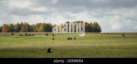 Große Gruppe von Quad-Bikern auf einem Cross-Country-Abenteuer, bewölkten Sommerhimmel Stockfoto