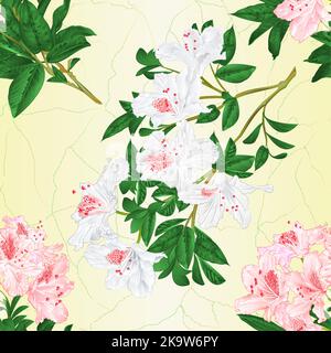 Nahtlose Textur Zweig hellrosa und weißen Blumen Rhododendron Berg Strauch vintage Vektor Illustration editierbar Handzeichnen Stock Vektor