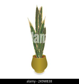 Exotische Pflanze Sansevieria hauseplant für Heimtextilien isoliert auf weißem Hintergrund vintage Vektor Illustration editierbar Handzeichnungen Stock Vektor