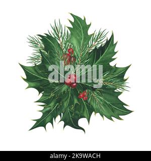 Holly Weihnachtsblätter mit Beeren, Kiefer, Fichte isoliert auf weißem Hintergrund. Aquarell botanische handgezeichnete Weihnachten Illustration. Kunst für Design-Deko Stockfoto