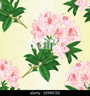 Nahtlose Textur Zweig hellrosa Blumen Rhododendron Berg Strauch vintage Vektor Illustration editierbar Handzeichnen Stock Vektor