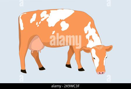 Eine Barkuh grast auf einem Feld und frisst Gras. Milchmädchen auf der Wiese. Eine Pflanze, die sich von Bio-Wiesen ernährt. Isolierte flache Vektordarstellung eines Stock Vektor