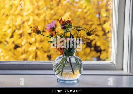 Herbst aus der Fensternische, Foto: Bo Arrhed Stockfoto