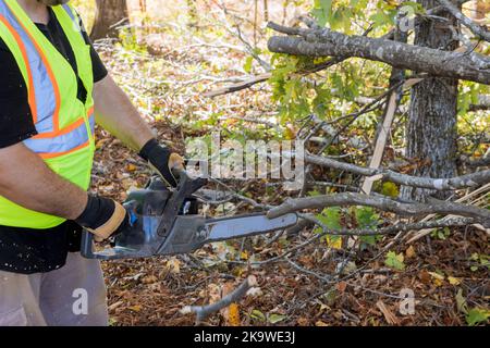 Stadtarbeiter schneidet Bäume, die nach einem starken Hurrikan im Herbstpark gefallen sind Stockfoto
