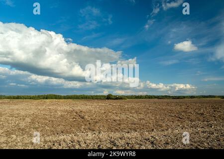 Weiße Wolken auf einem blauen Himmel über einem gepflügten Feld, Sommer ländlichen Blick in den Osten Polens Stockfoto