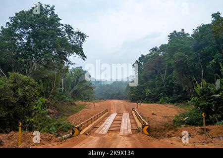 Der Feldweg führt durch den tropischen Wald im Amazonia National Park. Pará, Brasilien. Stockfoto