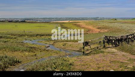 Der Kench auf Hayling Island bei Ebbe. Stockfoto