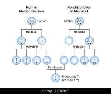 Wissenschaftliche Gestaltung von Nondisjunction in der Monosomie y. Bunte Symbole. Vektorgrafik. Stock Vektor