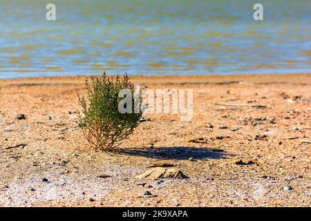 Blick auf die Lagune von gialova. Die Lagune von gialova ist eines der wichtigsten Feuchtgebiete in Europa. Griechenland. Stockfoto