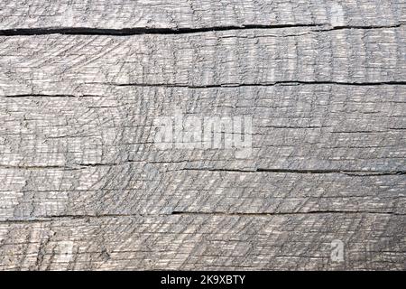 Alte graue Risse verwittert gewaschen befleckte Holzstruktur mit horizontalen Risse mit Spuren von gesägten unten. Natürliche strukturierte Nahaufnahme trocken Plank Hintergrund. Stockfoto