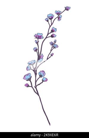 Zweige eco mit blauen Blüten im Aquarellstil auf weißem Hintergrund. Blätter auf einem Zweig, um das Design zu schmücken. Hochwertige Illustration Stockfoto