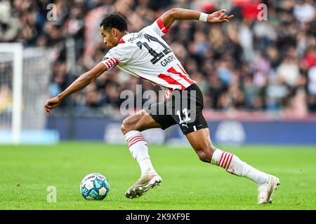 EINDHOVEN - Cody Gakpo vom PSV Eindhoven während des niederländischen Eredivisie-Spiels zwischen PSV Eindhoven und NEC Nijmegen am 30. Oktober 2022 im Phillips Stadium in Eindhoven, Niederlande. ANP OLAF KRAAK Stockfoto