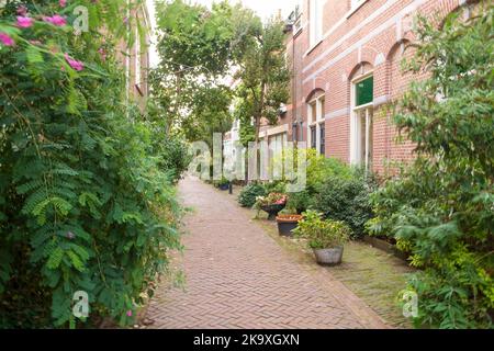 Haarlem, Niederlande - Oktober 22. 2022: Typische Wohnstraße im Zentrum von Haarlem. Stockfoto