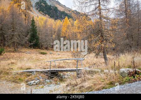 Landschaftlich reizvolle Herbstansicht einer Holzbrücke über einen ausgetrockneten Gebirgsbach am Palpuogna-See im schweizer Kanton Graubünden Stockfoto