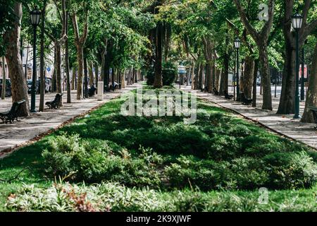 Garten an der Avenida da Liberdade in Lissabon, Portugal Stockfoto
