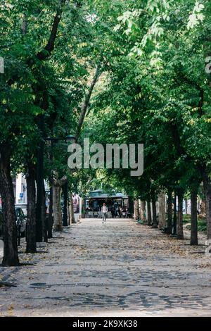 Lissabon, Portugal - 30. Oktober 2022 : Fußgänger auf einem von Bäumen gesäumten Bürgersteig an der Avenida da Liberdade in Lissabon, Portugal Stockfoto