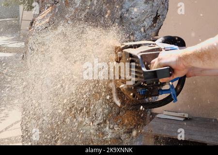 Kettensäge in Aktion zum Schneiden von Holz. Arbeiter schneidet einen Baumstamm mit einer Säge in Baumstämme. Nahaufnahme einer Säge in Bewegung, Sägemehl fliegt zu den Seiten. Holzarbeiten Stockfoto