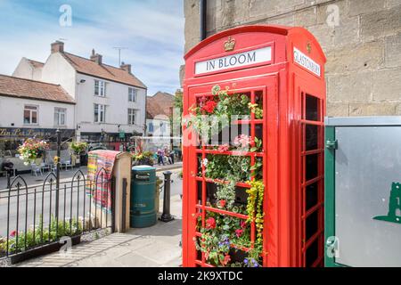 Eine Telefonbox, die für Glasonbury in Bloom am Market Place in der Stadt Glastonbury in Somerset UK gepflanzt wurde Stockfoto