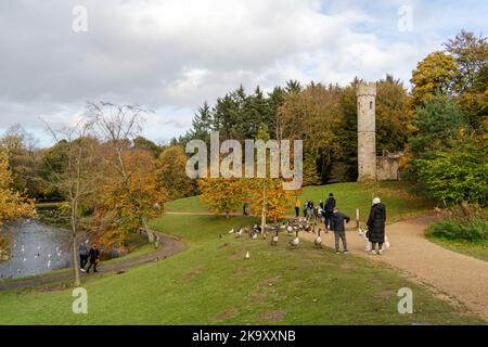 Menschen, die im Herbst oder Herbst einen Spaziergang im Hardwick Park, Sedgefield, County Durham, Großbritannien, genießen. Stockfoto