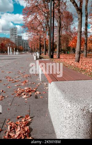 Herbst buntes Stadtleben. Straßenbank in modernen Erholungsgebiet mit Brunnen auf Freedom oder Svobody Square in der Nähe von Derzhprom konstruktivistischen Gebäude in Stockfoto
